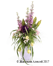 ����� ���� ������� � ����