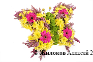 Композиция Бабочка Лимонница