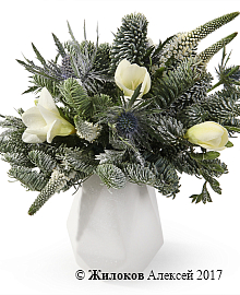 ���������� �������� � ����