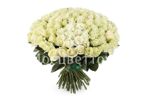 ����� 101 ���� ��������