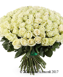 ����� 101 ���� ��������