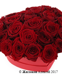 ����� �������� ������ � ������� ������� ������