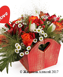 ����� �������� ����������� � �����