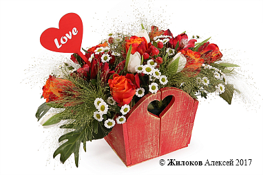 ����� �������� ����������� � �����