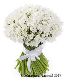 ����� �� ��������� �������� ������� (�����)