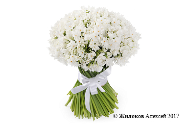 ����� �� ��������� �������� ������� (�����)