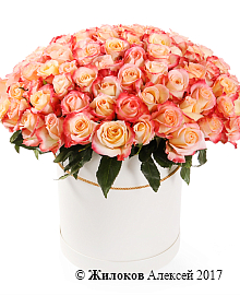 ����� 101 ���� ������ � ������� �������