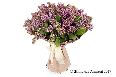 ����� ����� �����