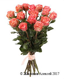 ����� 15 ��� ���� �������