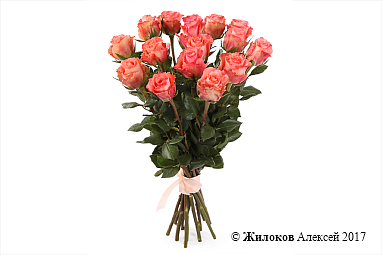 ����� 15 ��� ���� �������