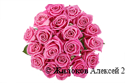 Букет 19 роз Аква
