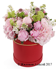 ����� ������ ����� � ������� �������