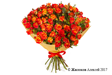 ����� 15 �������� ��� ���� ����