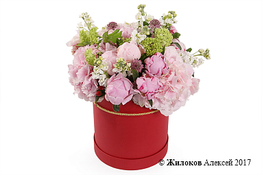 ����� ������ ����� � ������� �������