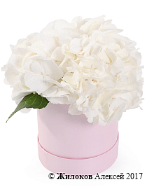 ����� ������ � ������� �������