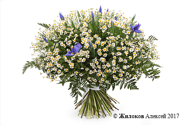 ����� � ��������� �������� �����