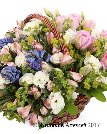 ����� ������ ���� � �������