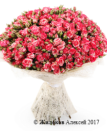 ����� 51 �������� ���� ���� �����