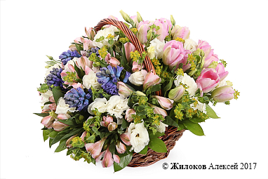 ����� ������ ���� � �������