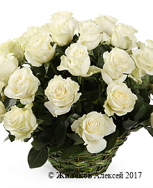 ����� 35 ��� �������� � �������