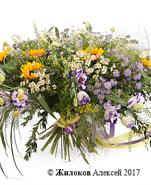 ����� ��� ��������� ����