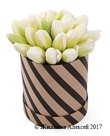 ����� 25 ����������� ��������� � ������� �������, �����