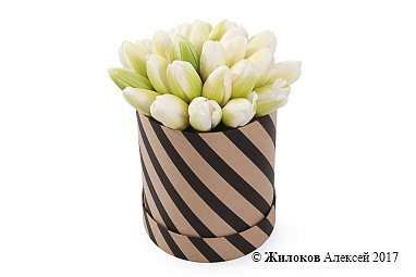 ����� 25 ����������� ��������� � ������� �������, �����