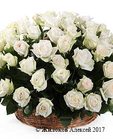 ����� 101 ���� ���� �'���� � �������