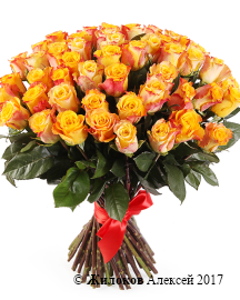 ����� 51 ���� ���� ����