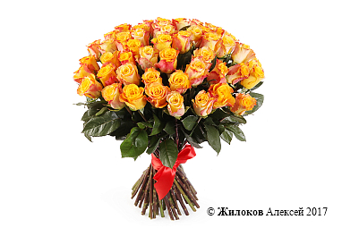 ����� 51 ���� ���� ����