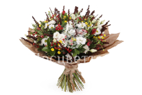 ����� ���������� �������