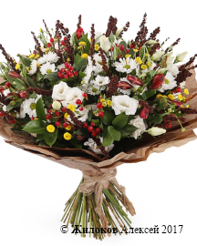 ����� ���������� �������