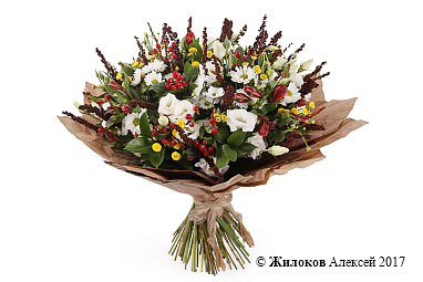 ����� ���������� �������