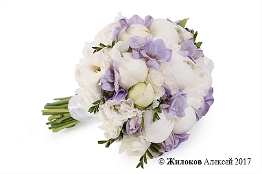 ����� ������� �������