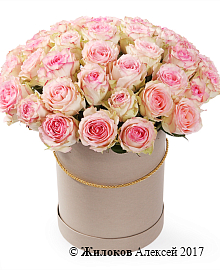 ����� 51 ���� �������� � ������� �������