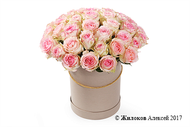 ����� 51 ���� �������� � ������� �������