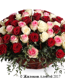 ����� ����, �������, ������ (105 ���)