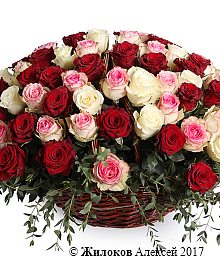 ����� ����, �������, ������ (105 ���)