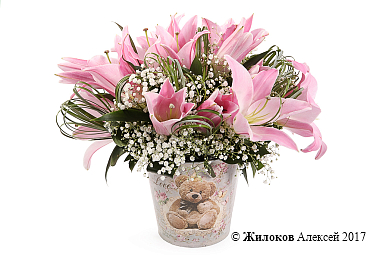 ����� � ������� ������-���������