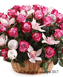 ����� ������� ���� � �������