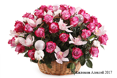 ����� ������� ���� � �������