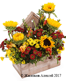 ���������� ���� ������� ������ � �����