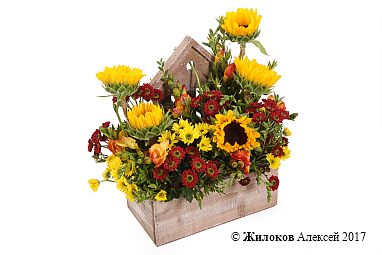 ���������� ���� ������� ������ � �����