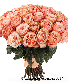 ����� 51 ����������� ���� ������