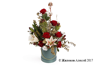 ����� ����-����� � ������� �������