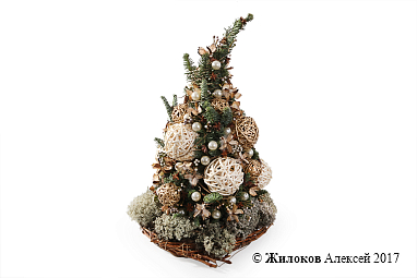 ���������� ���� � ������