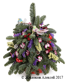 ���������� ���������� ���� � �����