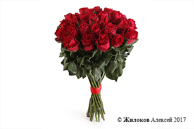 ����� 25 ��� �����