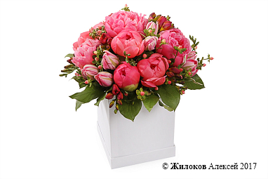 ����� � ������� ��������� � ������� �������