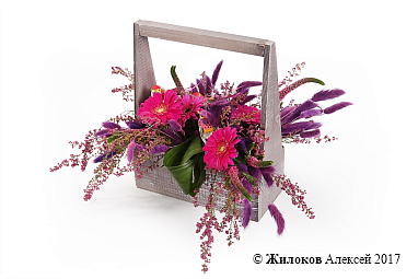 ���������� ��������� � �����